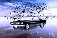 Black Car Fine Art Print
