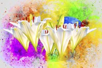 Flower Design 11MA Fine Art Print