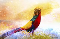 Bird Collection 20 Fine Art Print