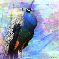 Bird Collection 25 Fine Art Print