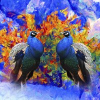 Bird Collection 26 Fine Art Print