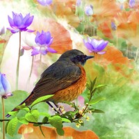 Bird Collection 30 Fine Art Print