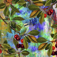 Bird Collection 31 Fine Art Print