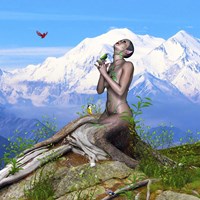 Bird Collection 33 Fine Art Print