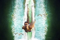 Dive To Unknown Fine Art Print