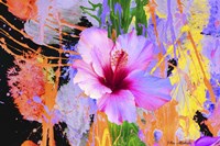Flower Design K2 Fine Art Print