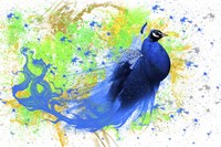 Peacock Tail Fine Art Print
