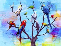 Birds Land !H Fine Art Print