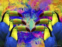 Colorful Birds A1A Fine Art Print