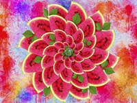 Watermelon Flower Framed Print