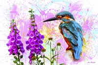 Bird Collection 40SEP2 Fine Art Print