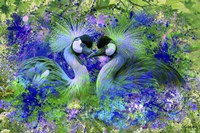 Bird Collection 40SEP3 Fine Art Print