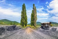 Blackwhite and Color Fine Art Print