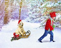 Christmas 2 Fine Art Print