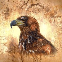 Eagle Portrait Fine Art Print