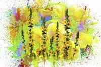 Flowers Explosion SEP1 Fine Art Print