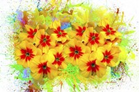 Flowers Explosion SEP2 Fine Art Print