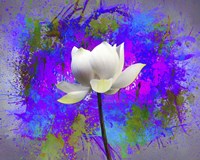 Flowers Explosion SEP3 Fine Art Print