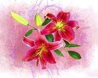 Flowers Explosion SEP4 Fine Art Print