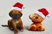 Puppy and Teddy Fine Art Print