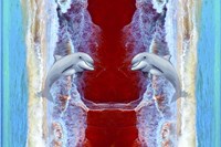 Twin Dolphin Fine Art Print