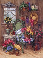 Cape Cod Shed Fine Art Print