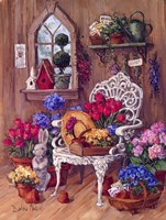 Victorian Shed Fine Art Print