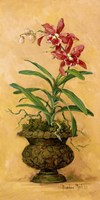 Orchid Revival I Fine Art Print