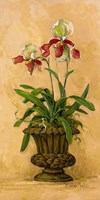 Orchid Revival II Fine Art Print