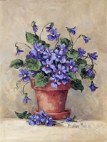 Viola Pot Fine Art Print