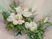 Magnolia Blossoms Fine Art Print
