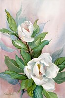 Classic Magnolia B Fine Art Print