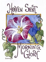 Heaven Sent Mornning Glory-Seed Packet Framed Print