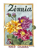 Mixed Colors Zinnia-Seed Packet Fine Art Print