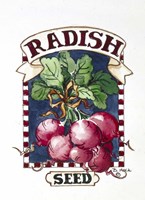 Radish-Seed Packet Fine Art Print