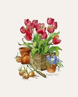Tulips in Bloom Fine Art Print