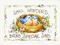 Small Wonders Fine Art Print