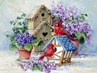 A Cardinal's Home Fine Art Print