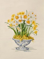Blue and White Porcelain Daffodils Fine Art Print
