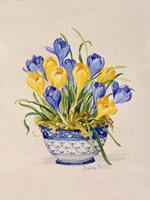 Blue and White Porcelain Crocus Fine Art Print