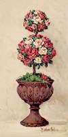 Rose Topiary I Fine Art Print