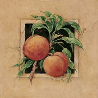 Peach Square Fine Art Print