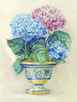 Hydranga Blooms II Fine Art Print