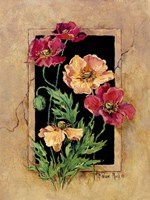 Framed Poppies Fine Art Print