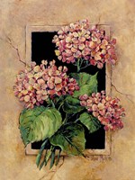 Framed Hydrangas Fine Art Print