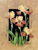 Framed Iris Fine Art Print