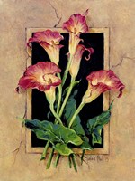 Framed Callas Fine Art Print