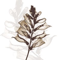 Foxglove Dance Fine Art Print