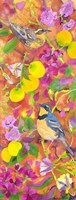 Varied Thrushes Head South Fine Art Print