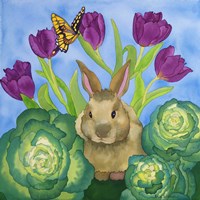 Bunny with Cabbage Fine Art Print